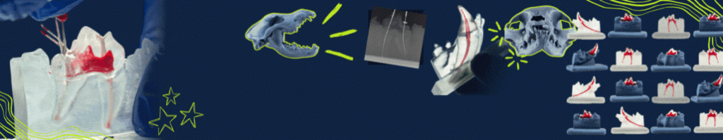 banner GIF GAIA escritorio Veterinary Endodontic
