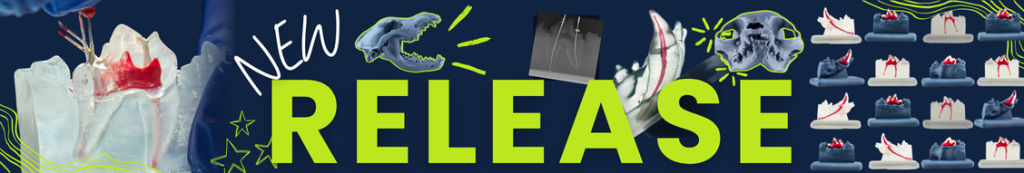 banner GAIA escritorio Veterinary Endodontic