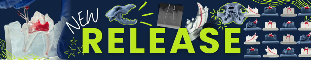 banner GAIA escritorio Veterinary Endodontic