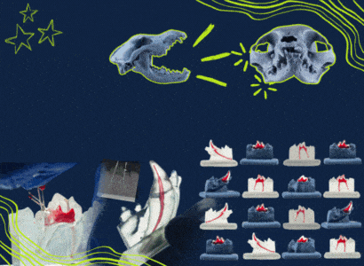 banner GIF GAIA mobile Veterinary Endodontic