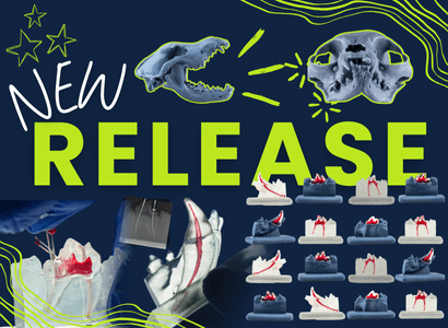 banner GAIA mobile Veterinary Endodontic