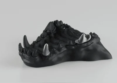 prosthodontic trainers