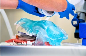 betty biomodel video