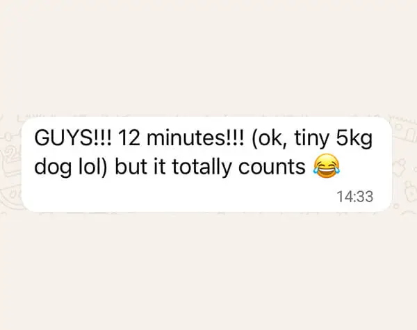 wa chat 7